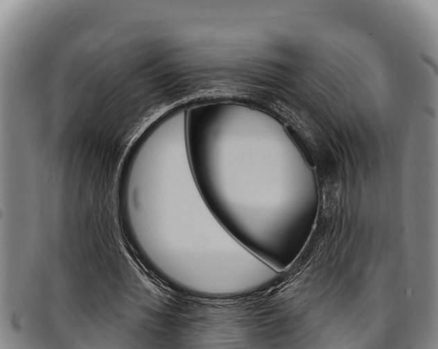 X0000097510436200802220908