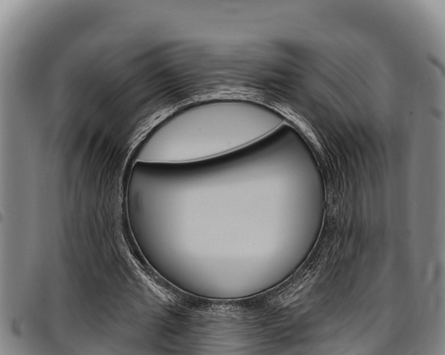 X0000097510437200802220908
