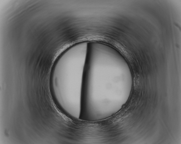X0000097510438200802220908