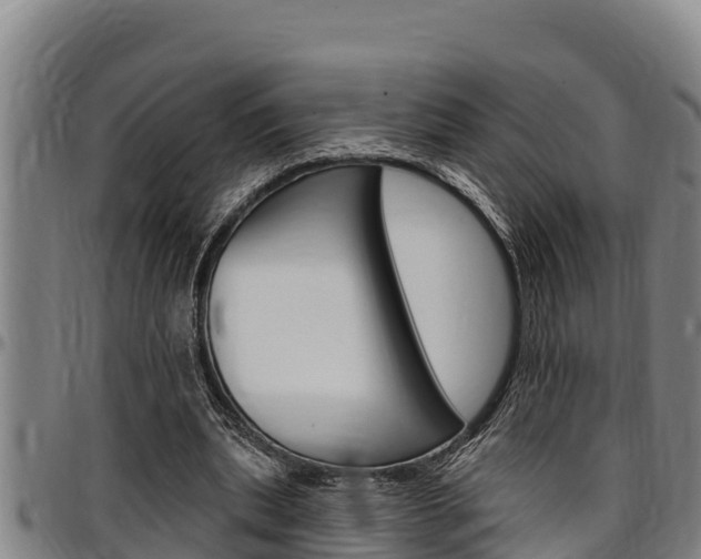 X0000097510439200802220908