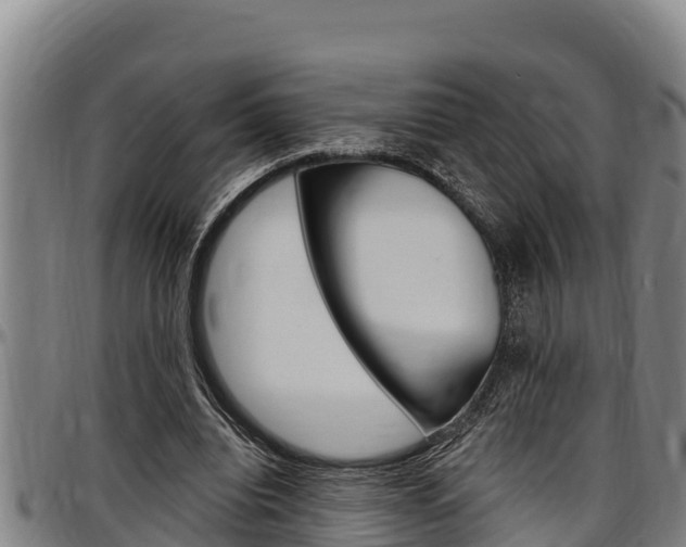 X0000097510440200802220908