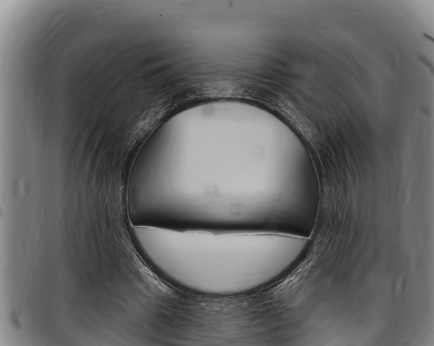 X0000097510441200802220908