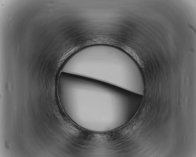X0000097510442200802220908