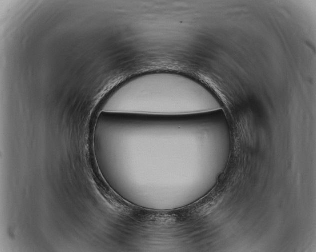 X0000097510443200802220908
