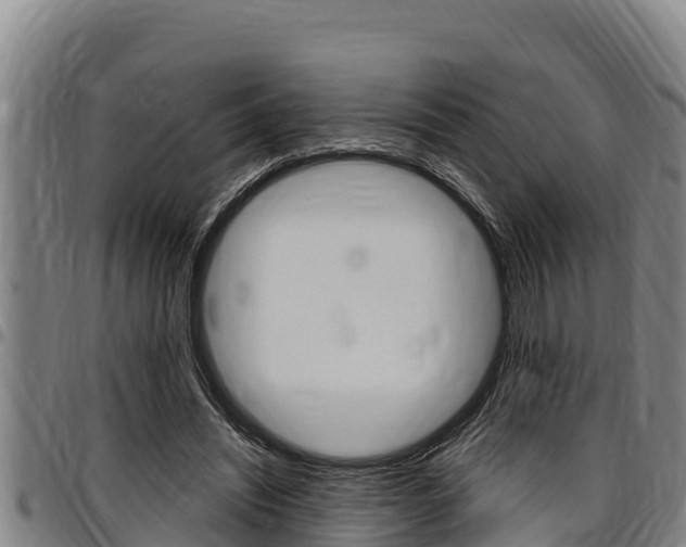 X0000097510444200802220908