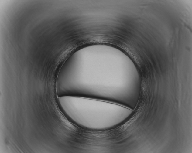 X0000097510445200802220908