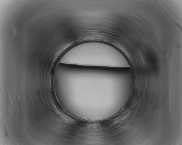 X0000097510446200802220908