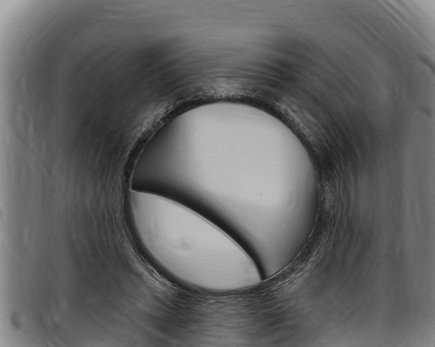 X0000097510447200802220908
