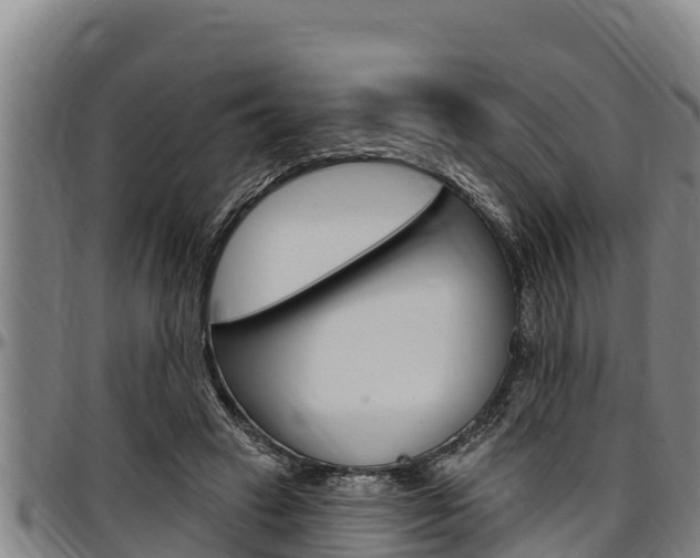 X0000097510449200802220908