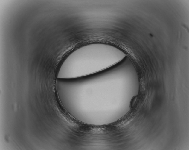 X0000097510450200802220908