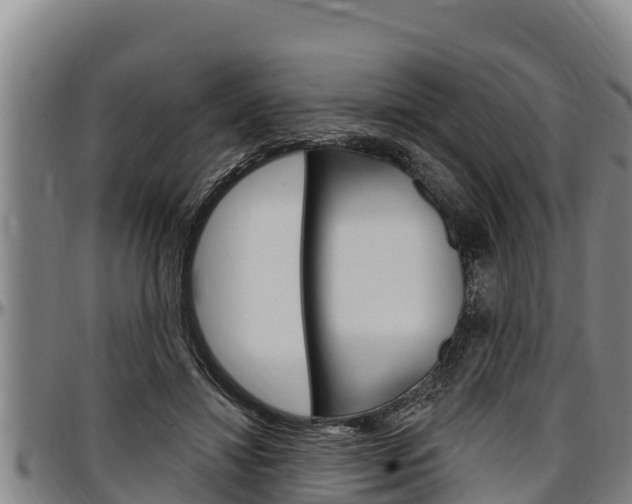 X0000097510452200802220908