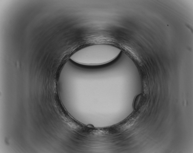 X0000097510453200802220908