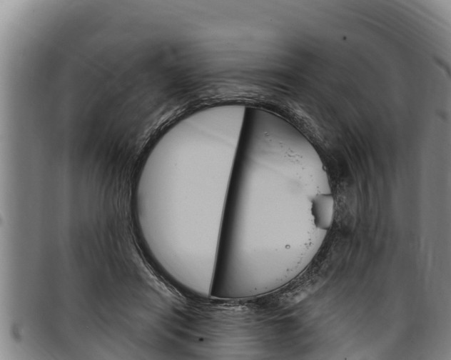 X0000097510454200802220908