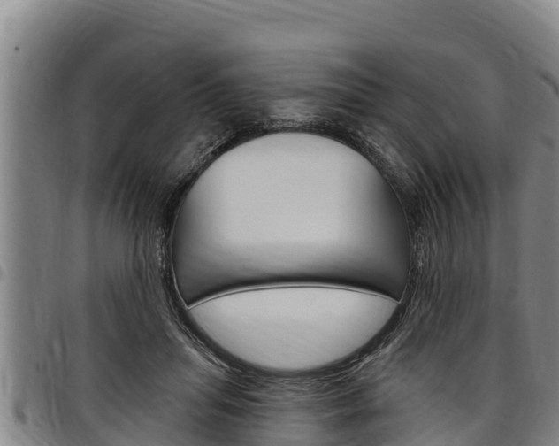 X0000097510455200802220908