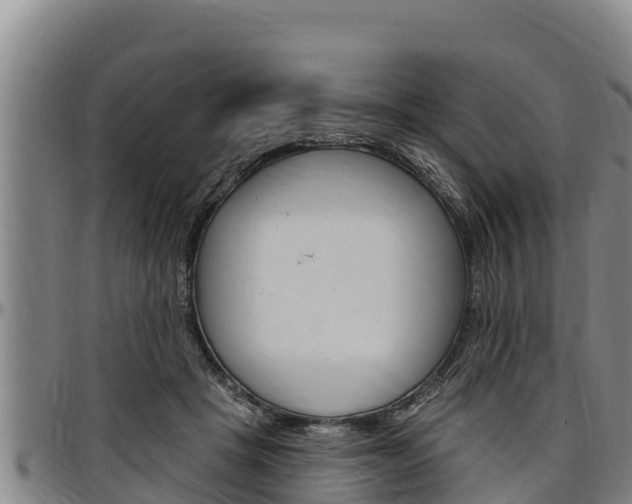 X0000097510457200802220909