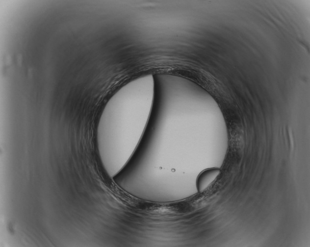 X0000097510460200802220909