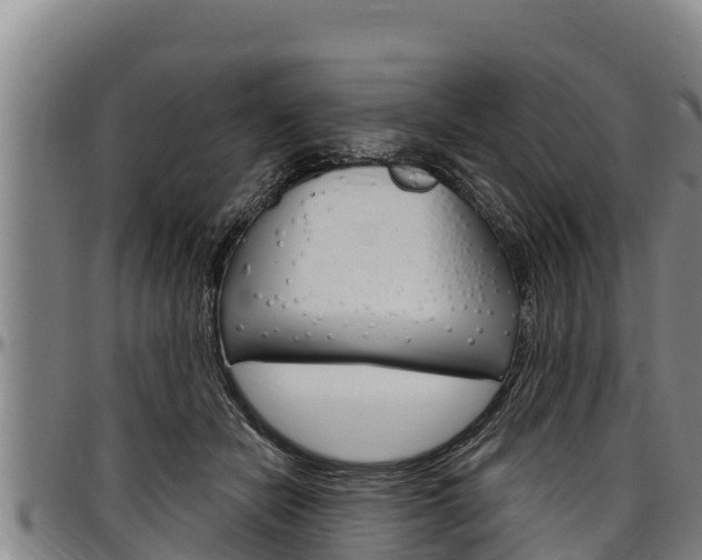 X0000097510462200802220909