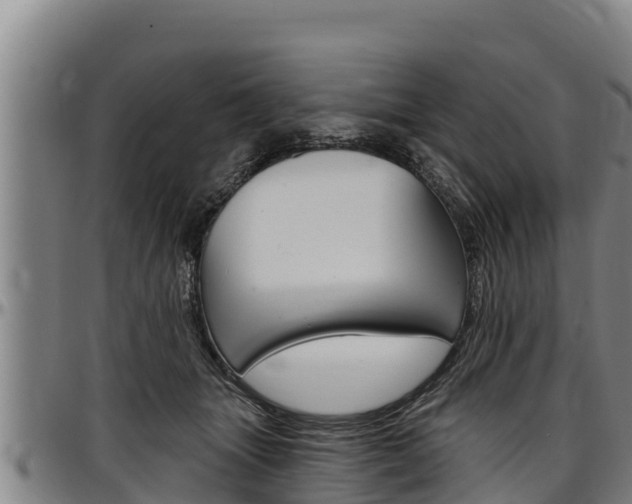 X0000097510463200802220909