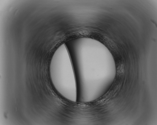 X0000097510464200802220909