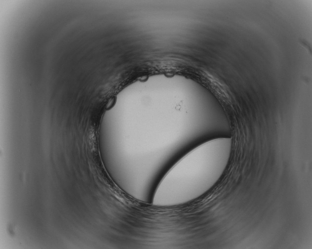 X0000097510465200802220909