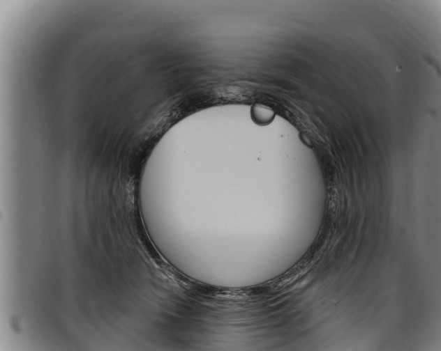 X0000097510466200802220909