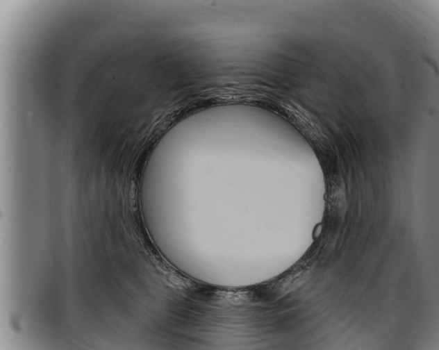 X0000097510469200802220909