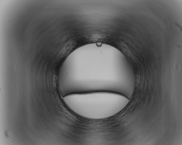 X0000097510470200802220909