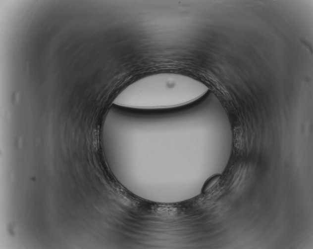 X0000097510471200802220909