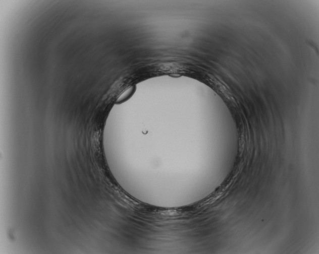 X0000097510473200802220909