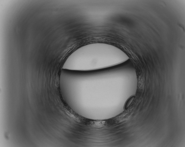 X0000097510474200802220909
