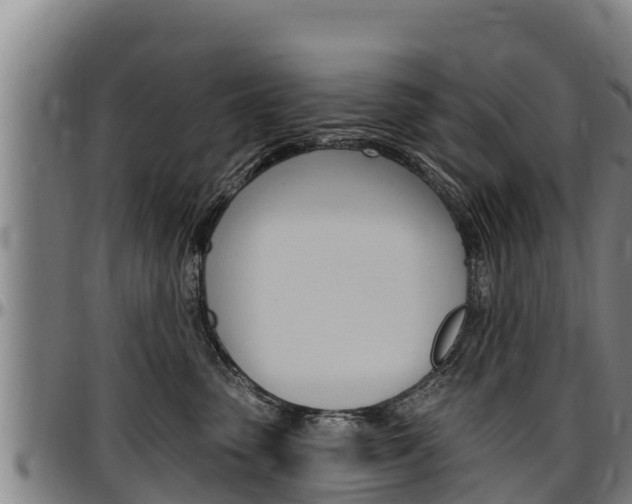 X0000097510475200802220909