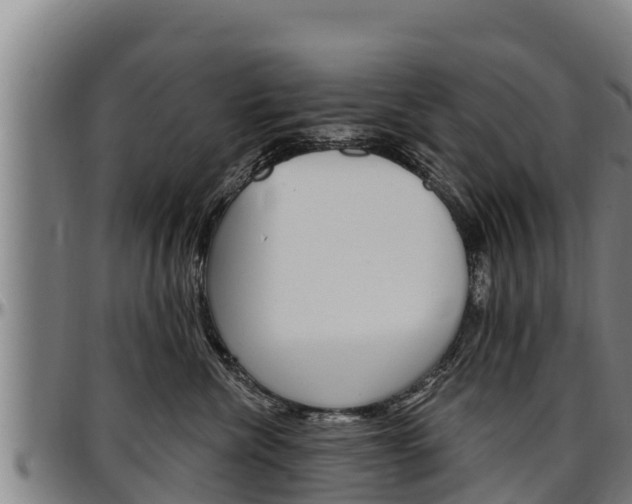 X0000097510476200802220909