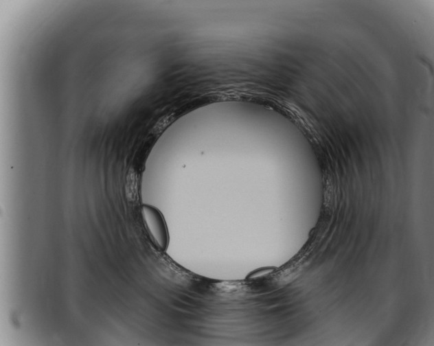 X0000097510477200802220909