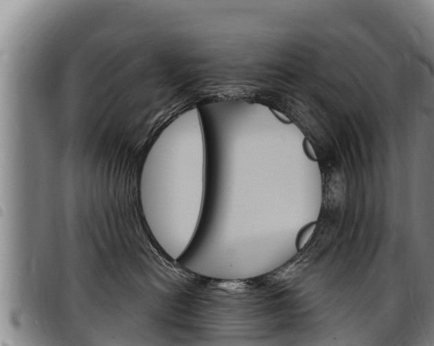 X0000097510478200802220909