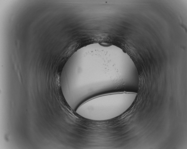 X0000097510479200802220909
