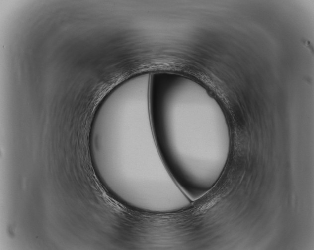 X0000097510481200802220908