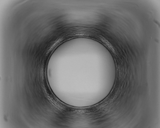X0000097510482200802220908