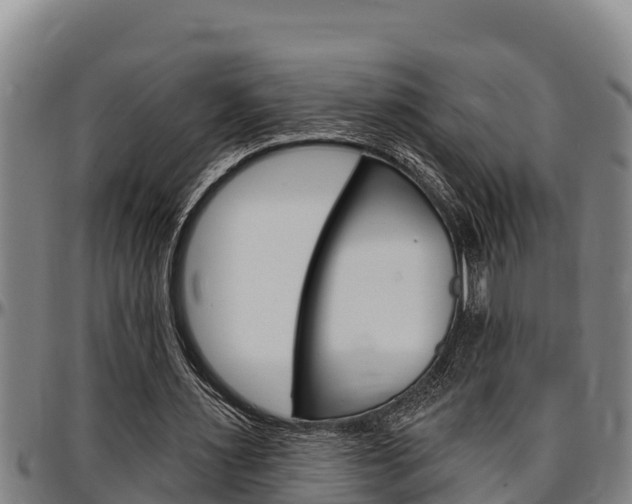 X0000097510483200802220908