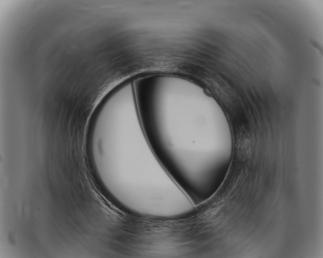 X0000097510484200802220908