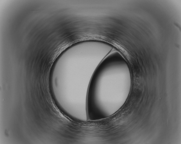 X0000097510485200802220908