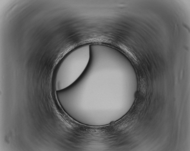 X0000097510486200802220908