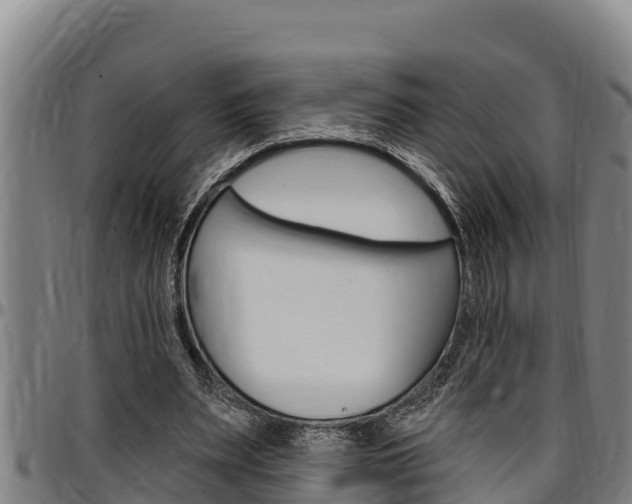 X0000097510487200802220908