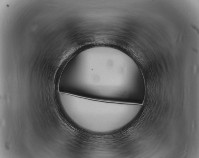 X0000097510488200802220908