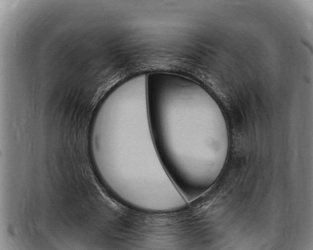 X0000097510489200802220908