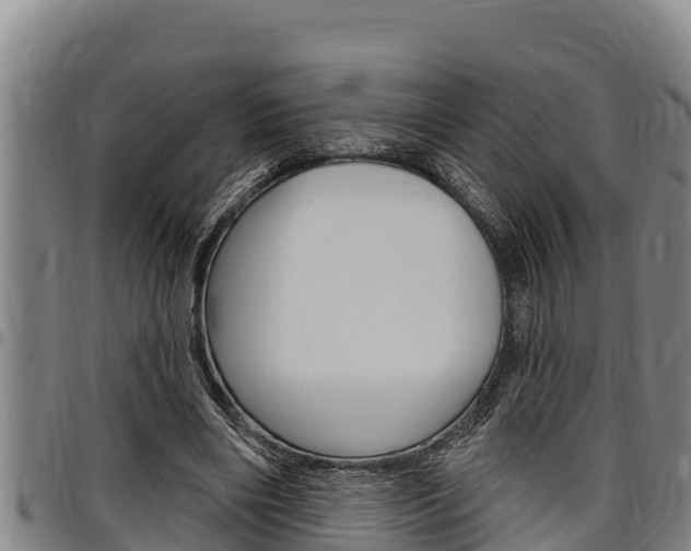 X0000097510490200802220908