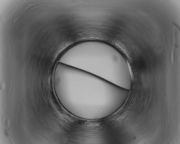 X0000097510491200802220908