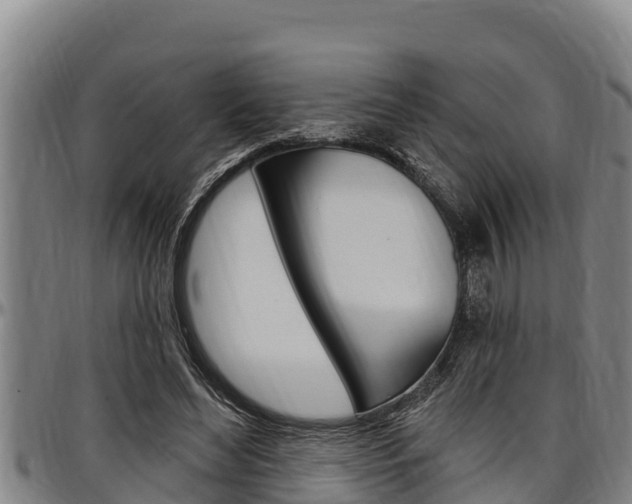 X0000097510492200802220908