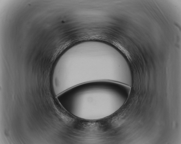 X0000097510493200802220908