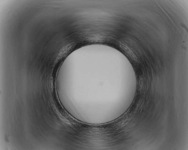 X0000097510494200802220908