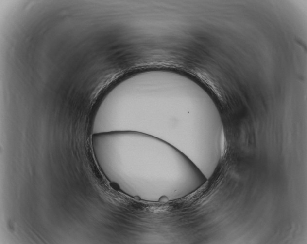 X0000097510495200802220908